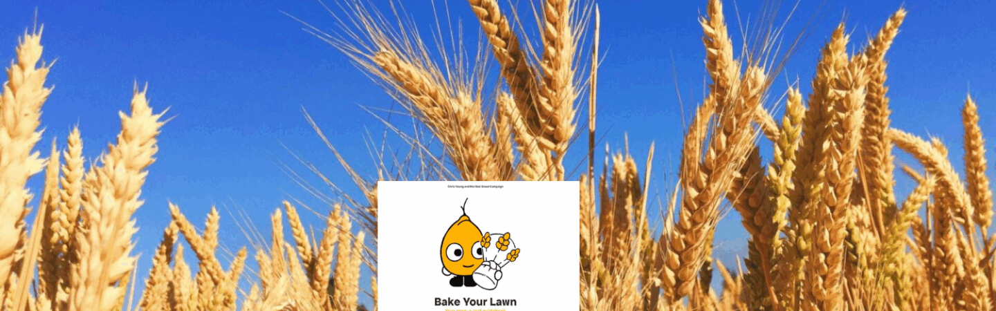 Wheat